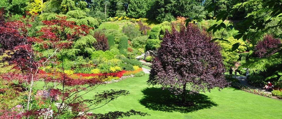 Garden landscape from the original Kindig & Sloat website